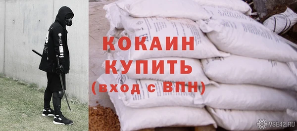 индика Осташков