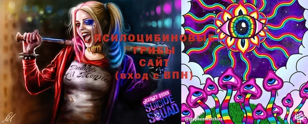 a pvp Волоколамск
