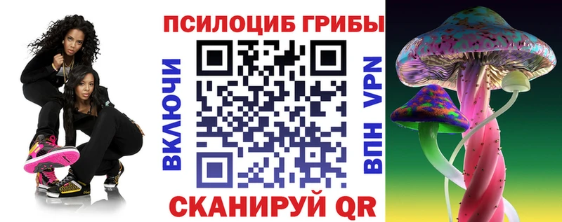 Псилоцибиновые грибы GOLDEN TEACHER  цены наркотик  нарко площадка формула  Елец 