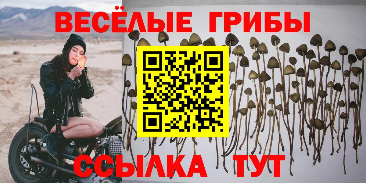 Галлюциногенные грибы GOLDEN TEACHER  Вход с VPN  Елец  Галлюциногенные грибы мицелий 